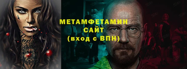 прущие грибы Бронницы