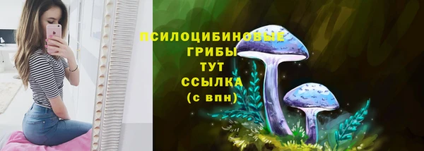 ГАЛЛЮЦИНОГЕННЫЕ ГРИБЫ Верея