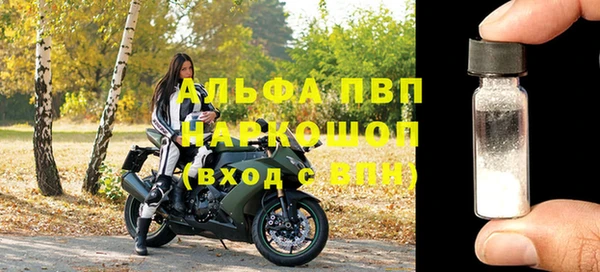 прущие грибы Бронницы