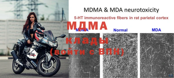 прущие грибы Бронницы