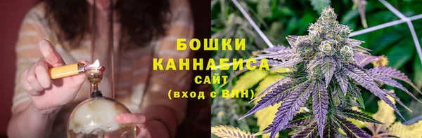 ГАЛЛЮЦИНОГЕННЫЕ ГРИБЫ Верея